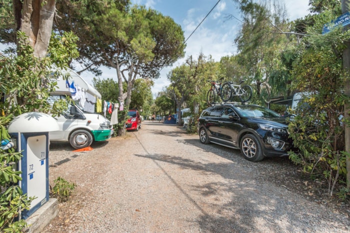 Piazzola Medium