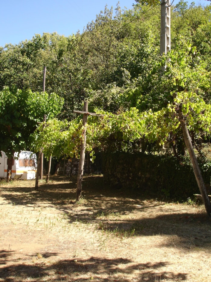Emplacement Tente Ou Caravane