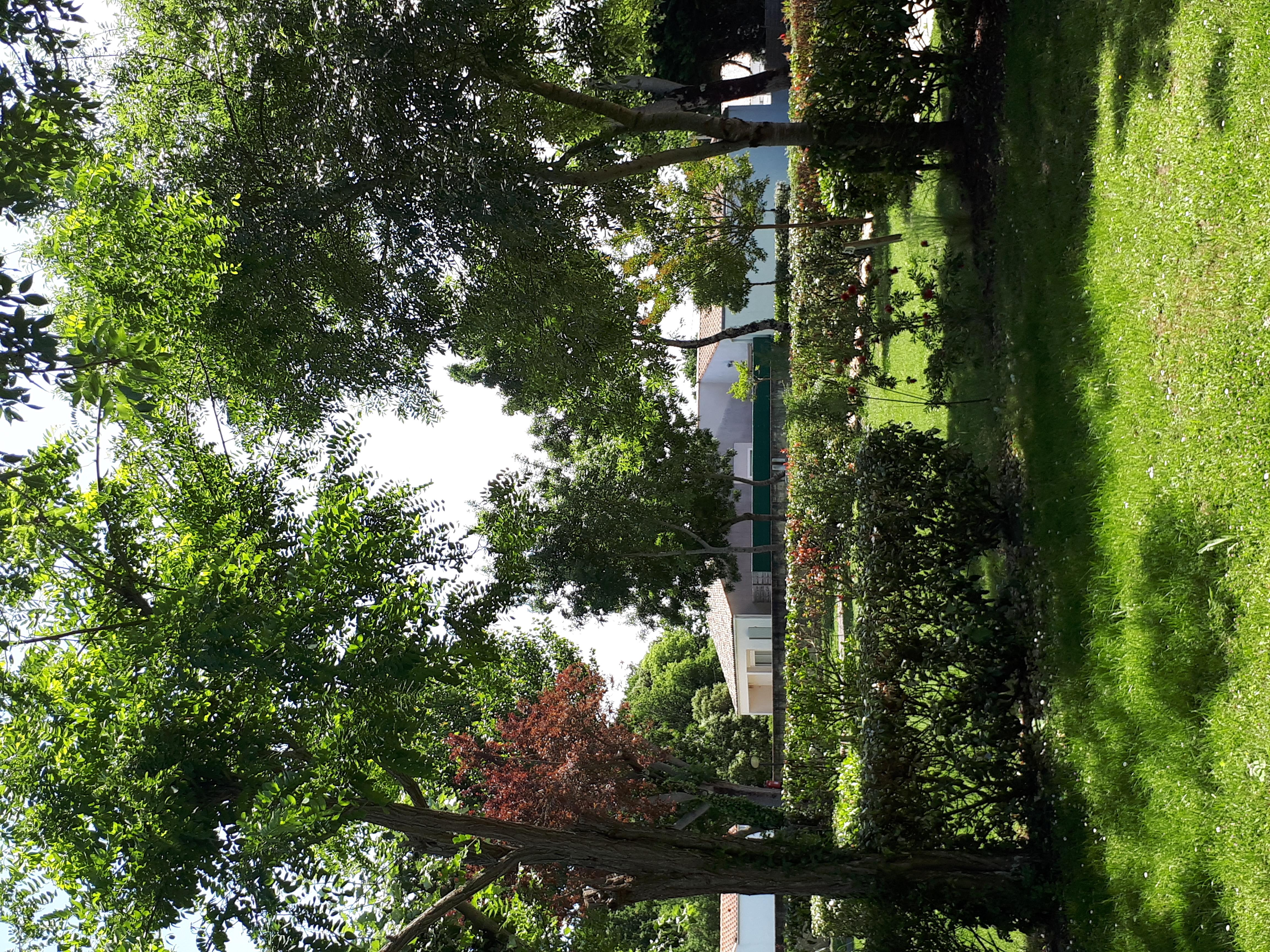 Pitch - Pitch With Tent, Caravan Or Motor Home / 1 Car / Electricity - Camping Au Pigeonnier