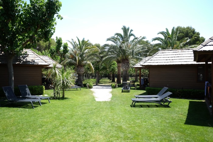 Deluxe Palm Tree Villas