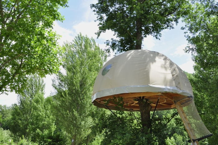 Cabane Dans Les Arbres