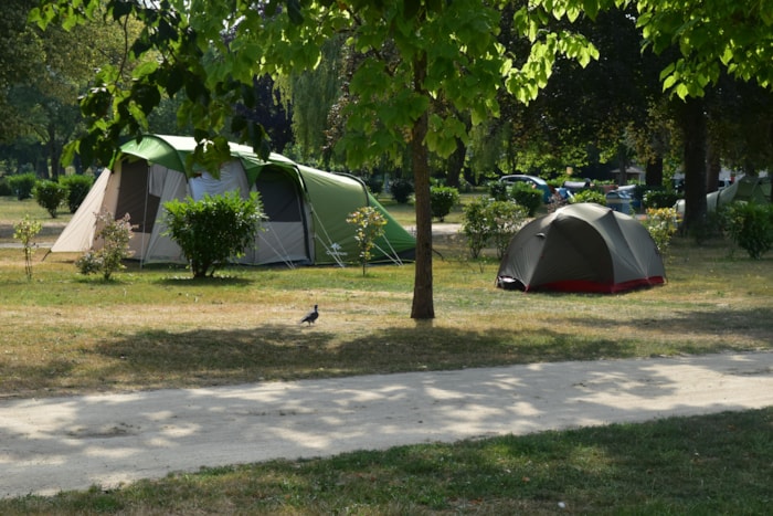 Forfait Emplacement + 1 Véhicule (Sans Électricité)