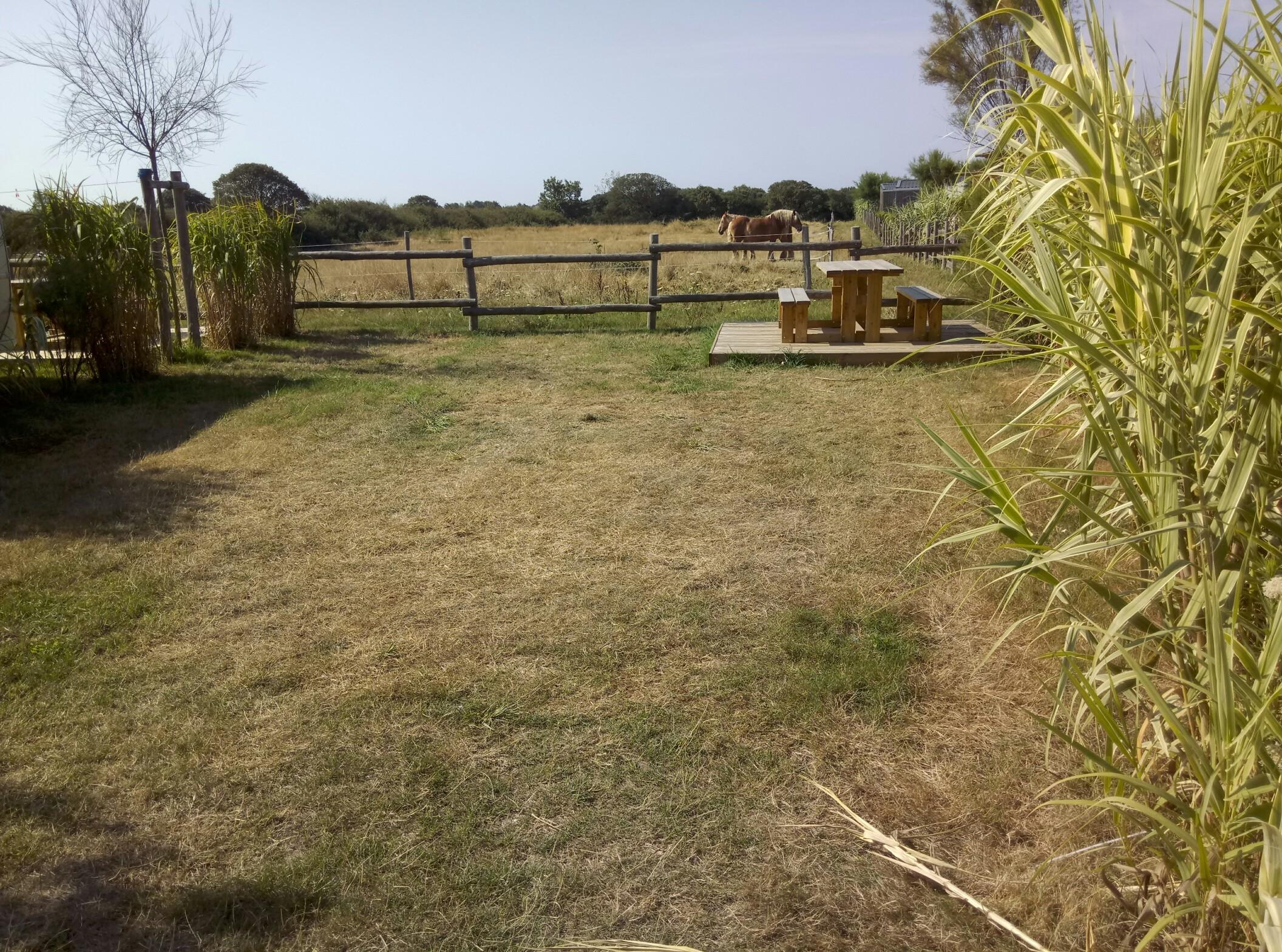 Privilege Package (Comfort Package + Water Connection/Evacuation + Terrace With Picnic Table + 5 Hours Wifi. Pitch Between 110M² And 130M²) ) Privilege Package (Comfort Package + Water Connection/Evacuation + Terrace With Picnic Table + 5 Hours Wifi. Pitch Between 110M² And 130M²) )