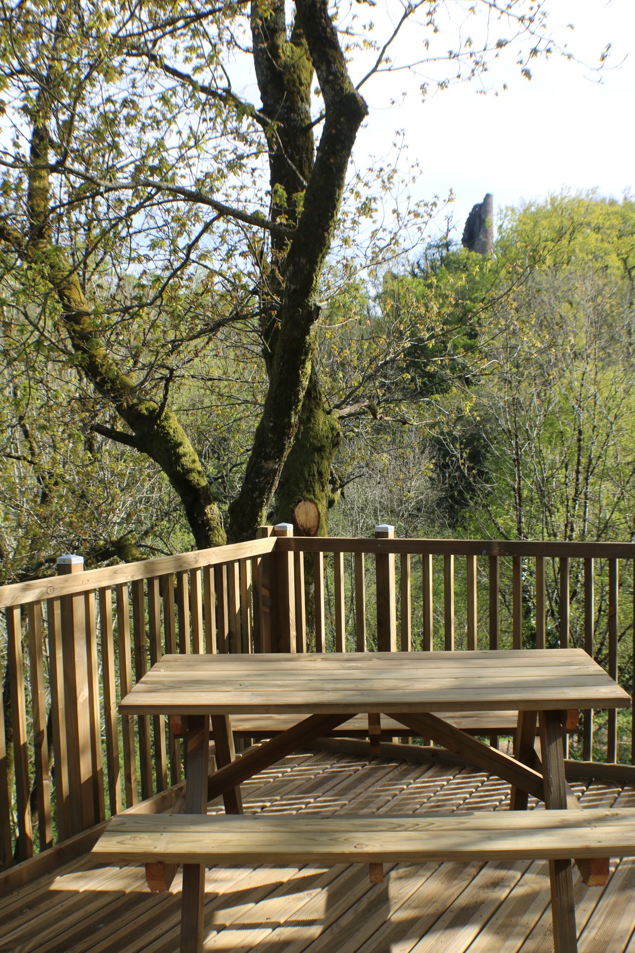 Location - Dôme Lodge Sans Sdb - Camping Moulin de Chaules