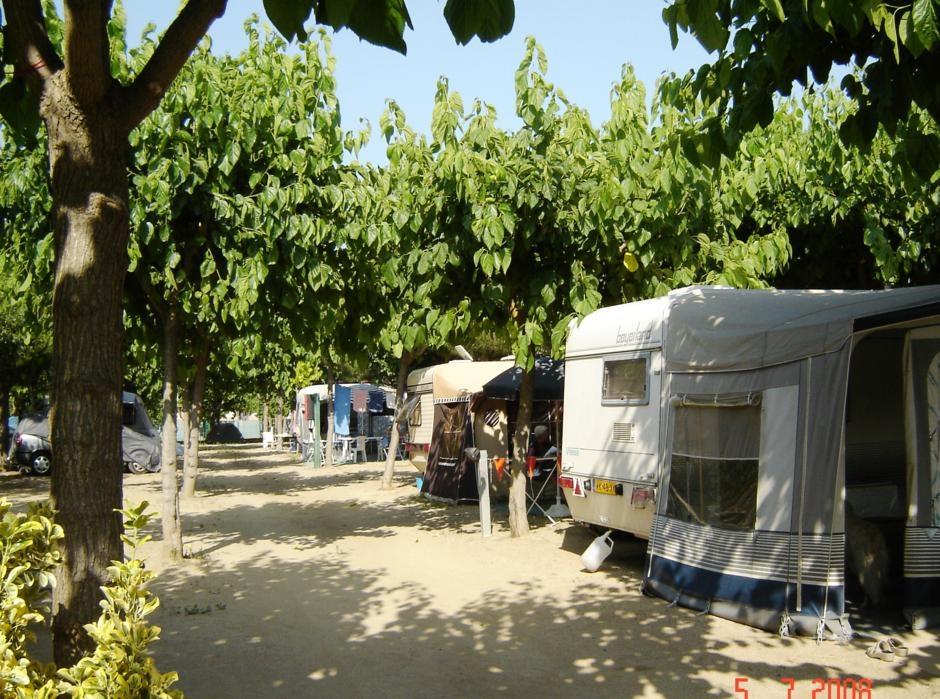 Stellplatz - Stellplatz + 1 Auto + Zelt , Wohnwagen Oder Wohnmobil + Strom - Camping Bell Sol