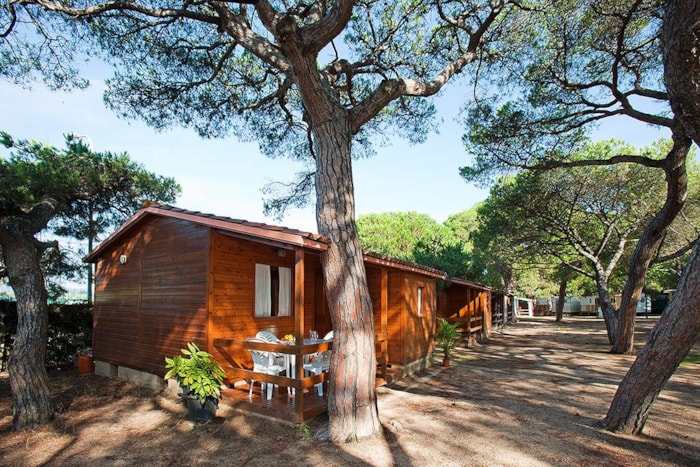 Bungalow 2 Camere Bungalow 2 Camere