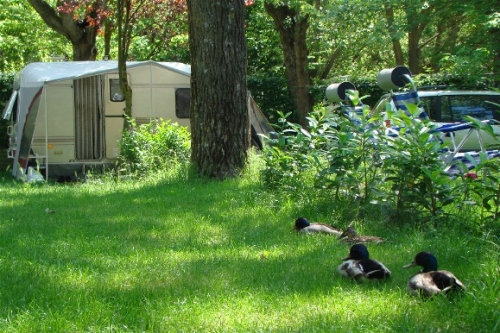 Pitch - Comfort Package (Car + Tent Or Caravan Or Camping-Car) + Electricity 6A - Camping du VIADUC