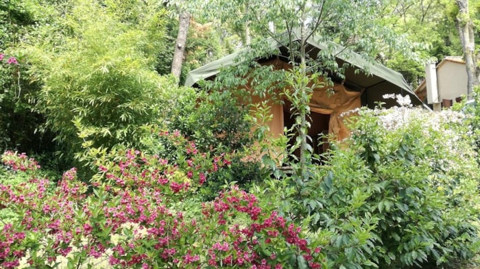 Tenda Safari