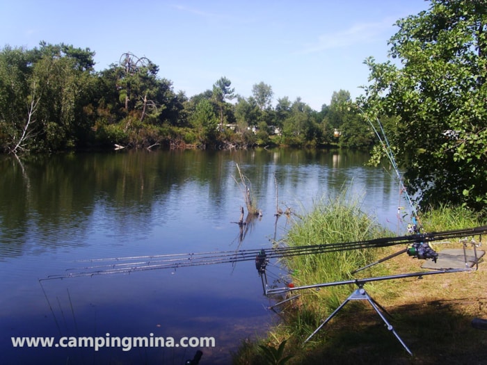 Forfait Carpiste (1 Pêcheur Par Emplacement)