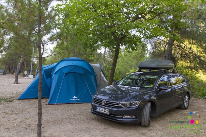 Parcela: Coche + Tienda/Caravana O Autocaravana + Electricidad