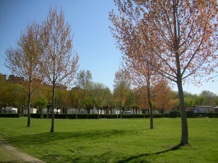 Piazzola Standard