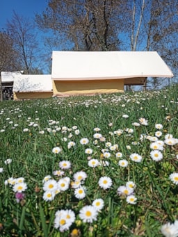 Location - Tente Treck Prête À Dormir 1 Chambre Sans Sanitaires - Camping Au Bord de Loire