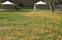 Location - Tente Etape Prête À Dormir 2 Chambres Sans Sanitaires - Camping Au Bord de Loire