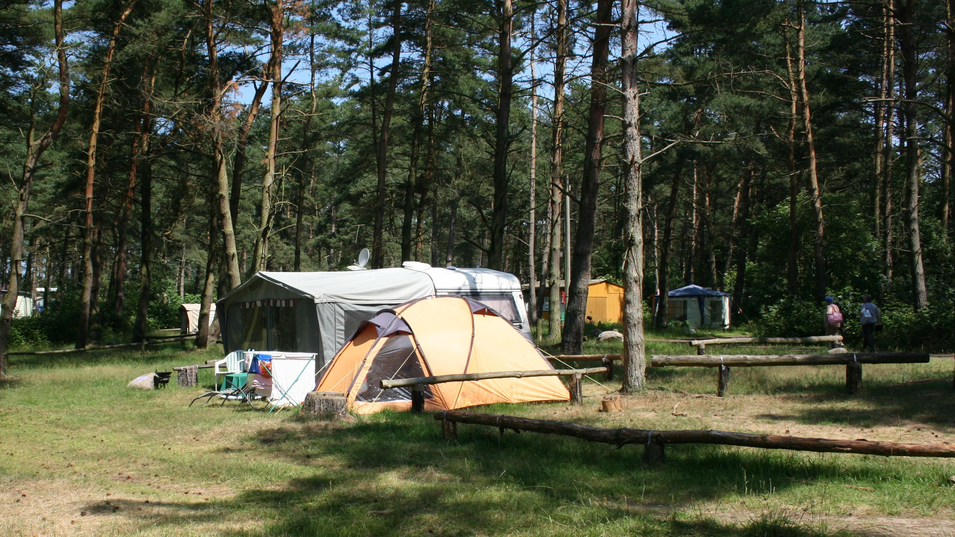 Pitch - Pitch Classic Maxi - Natur Camping Usedom Pitch - Pitch Classic Maxi - Natur Camping Usedom