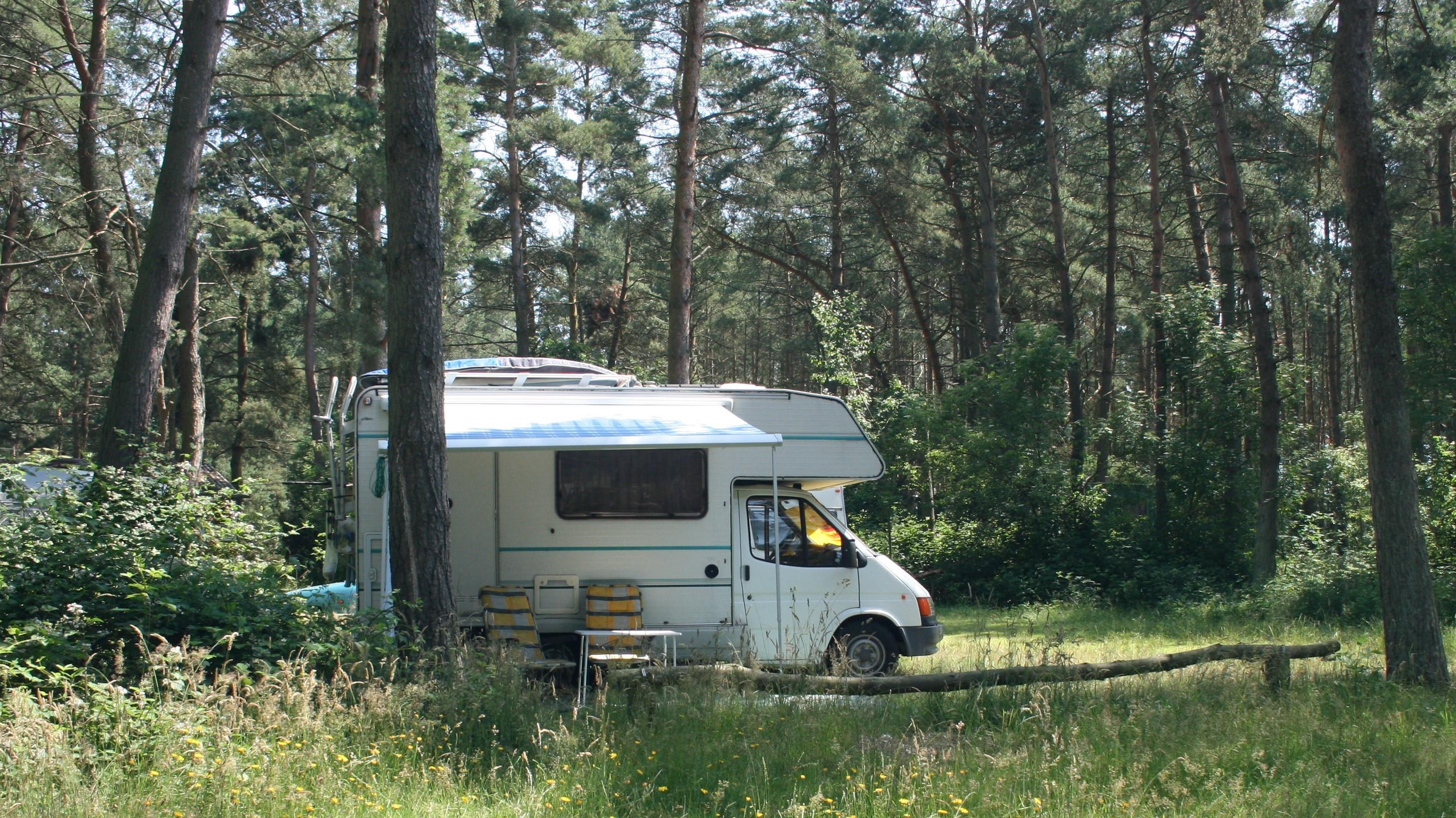 Pitch - Pitch Comfort Xxl - Natur Camping Usedom Pitch - Pitch Comfort Xxl - Natur Camping Usedom
