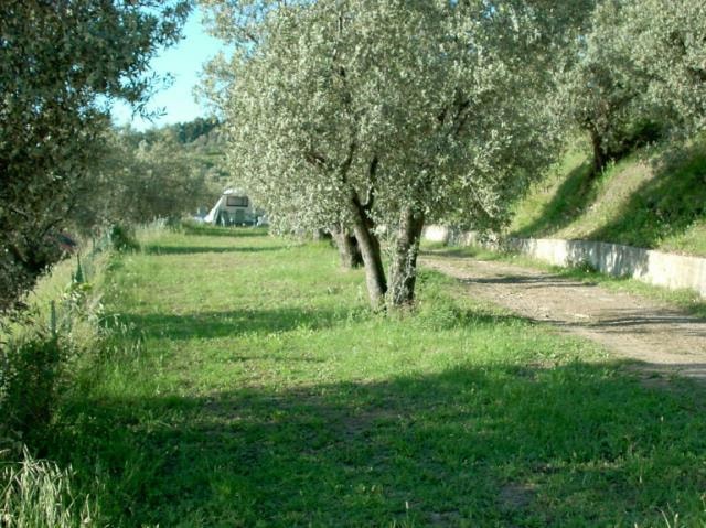 Piazzola : Auto + Tenda/Roulotte O Camper + Elettricità + Raccordo All'acqua Corrente / Scarico