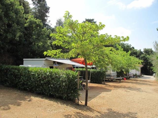 Piazzola : Auto + Tenda/Roulotte O Camper + Elettricità + Raccordo All'acqua Corrente / Scarico