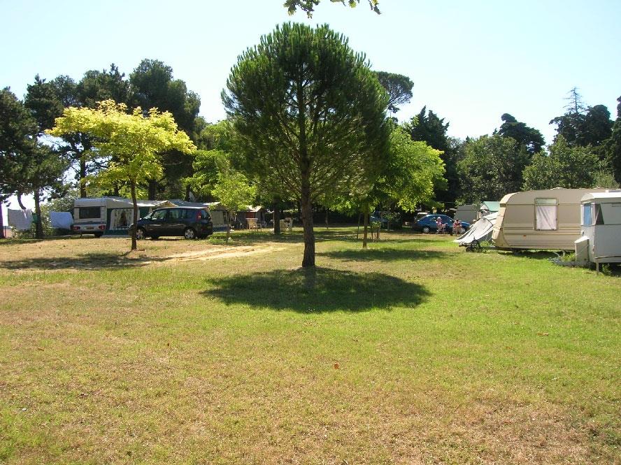Pitch: Car + Tent Or Caravan Without Electricity Pitch: Car + Tent Or Caravan Without Electricity
