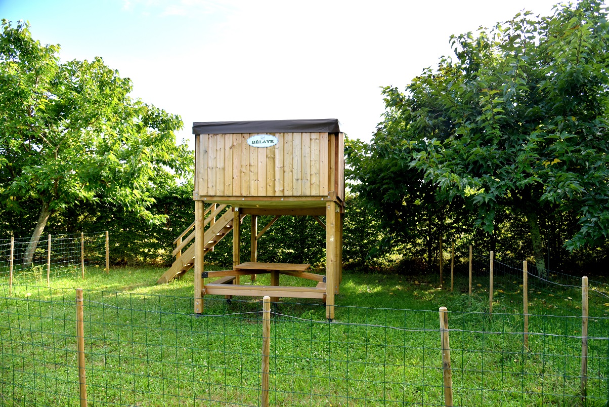 Location - Tente Sur Pilotis Bélay 1 - Camping RIVIERE DE CABESSUT