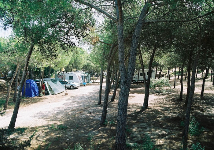 Piazzola