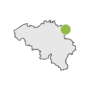 Papillon Kinrooi