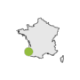 La Forêt Paloma