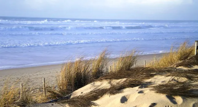 Camping at Hourtin - CampingDirect - Image n°2