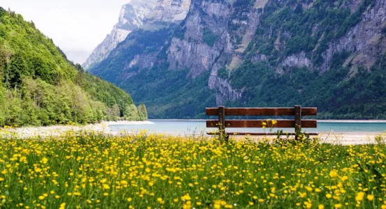 Camping  Lac Léman - CampingDirect - Image n°1