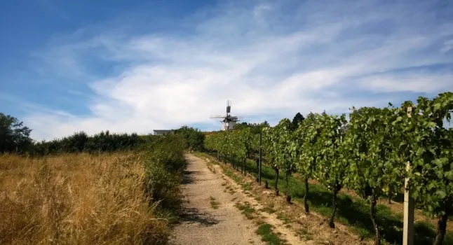 Campeggi a Pays de Retz - CampingDirect - Immagine n°1