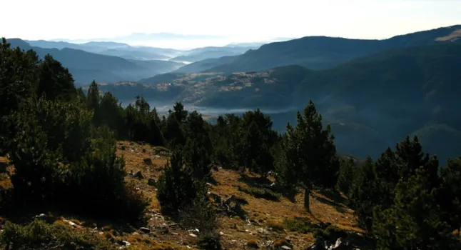 Camping in the Catalan Pyrénées - CampingDirect - Image n°2