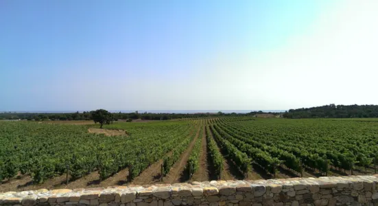 Manuela takes you to Argelès sur Mer - CampingDirect - Image n°1