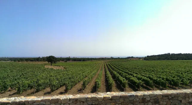 Manuela takes you to Argelès sur Mer - CampingDirect - Image n°1