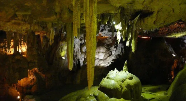 Axel takes you to the Pyrénées mountains - CampingDirect - Image n°1