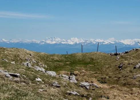 Jura