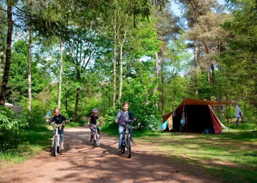 Camping in Gelderland - CampingDirect