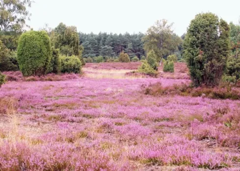 Campingplätze in Niedersachsen