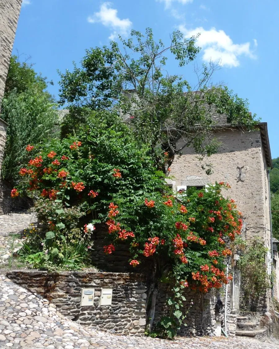 Camping Aveyron - IberiCamp - Image n°1