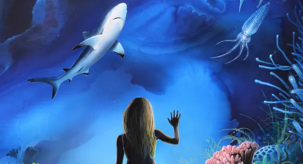 Campings proche de l'aquarium de La Rochelle - CampingDirectSpecialCE - Image n°1