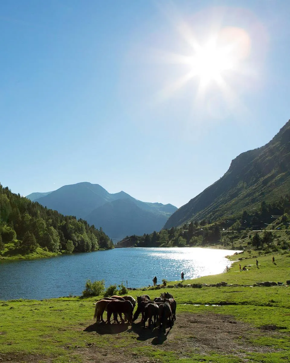 De camping en el Parque de los Pirineos Catalanes - IberiCamp - Imagen n°1