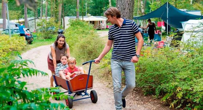 Verblijf op een camping met het gezin met kinderen van 2 tot 6 jaar - CampingDirect - Afbeelding n°11