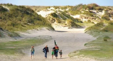 Wandelen door de duinen op Texel | Camping Direct