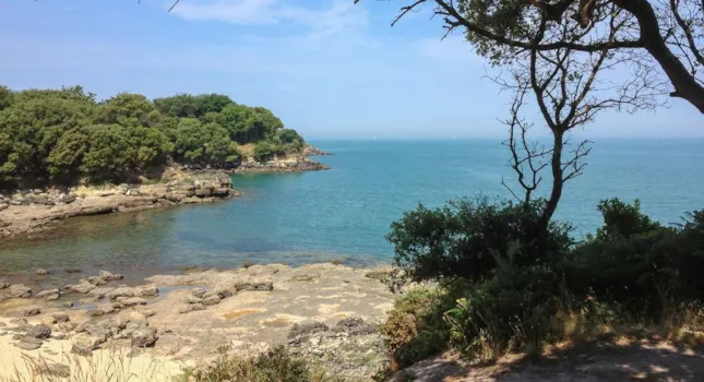 Ofertas Flash de verano en 350 campings  - CampingDirect - Imagen n°1