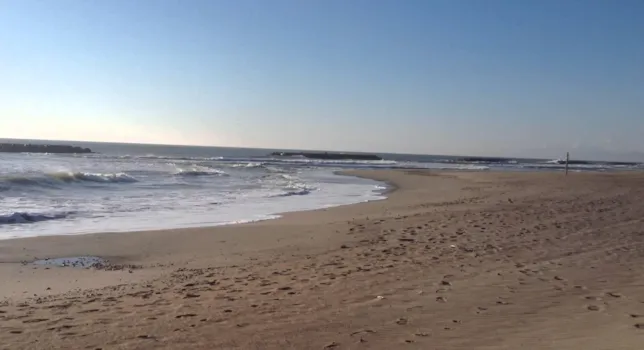  Offerta Flash Estiva - CampingDirect - Immagine n°1