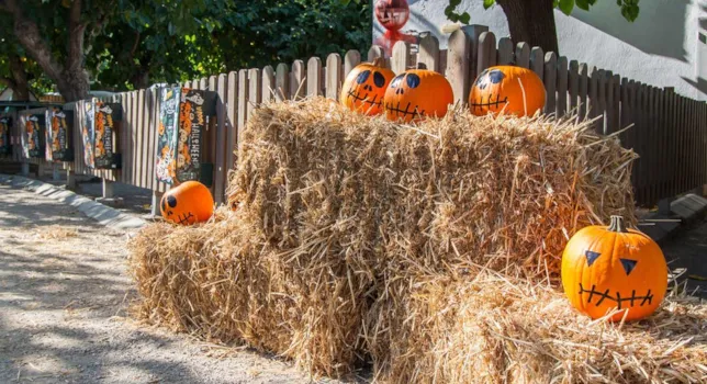 Herfstvakantie: Geniet van het Catalaanse klimaat voor een vakantie op de camping !  - CampingDirect - Afbeelding n°1