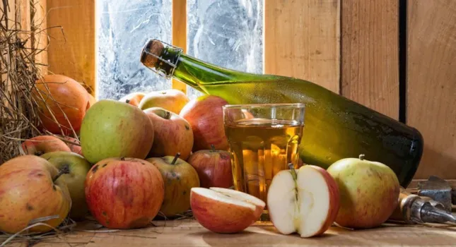 Guía Camping Normandia - CampingDirect - Imagen n°1