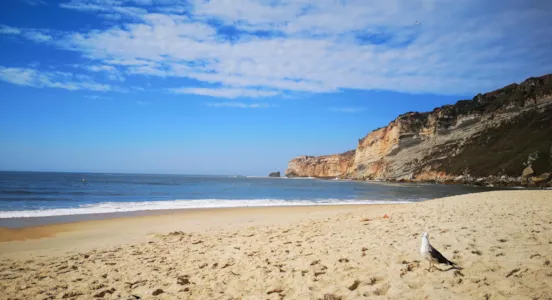 Camping Nazaré - CampingDirect - Imagen n°1