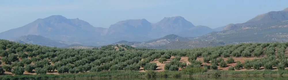 Camping Jaén - IberiCamp - Imagen n°1