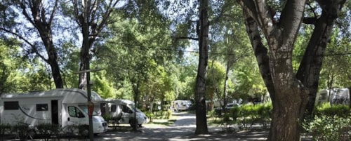 Camping Bagatelle - Provenza-Alpes-Costa