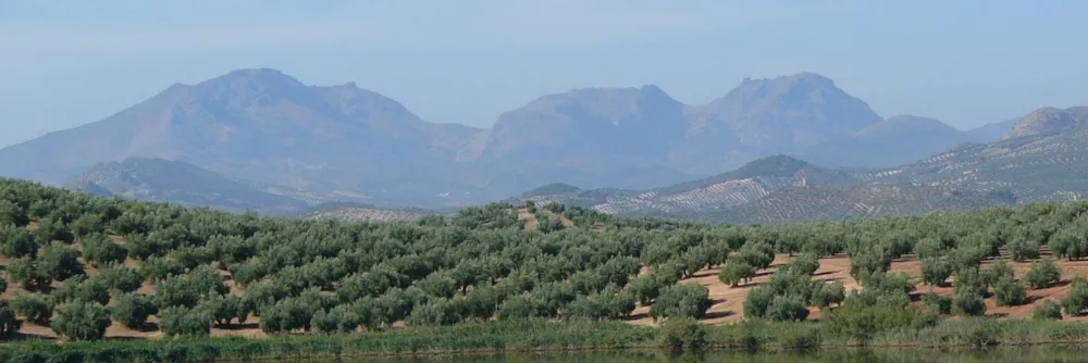 Camping Jaén