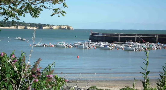 Camping Saint-Georges-de-Didonne - CampingDirect - Image n°1